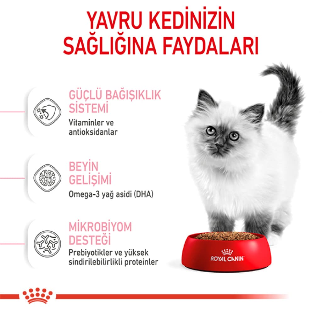 Royal Canin Kitten 36 Yavru Kedi Maması 2 kg
