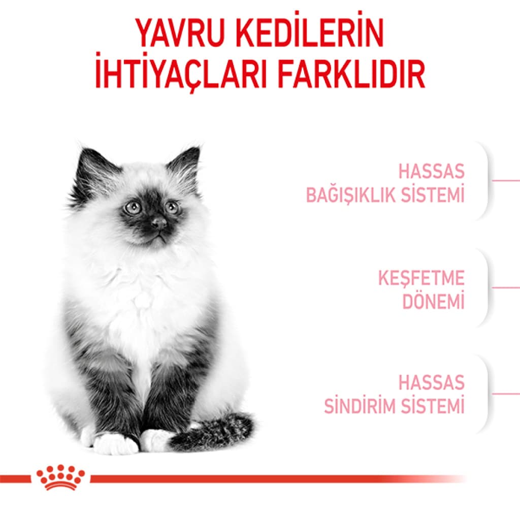 Royal Canin Kitten 36 Yavru Kedi Maması 4 kg