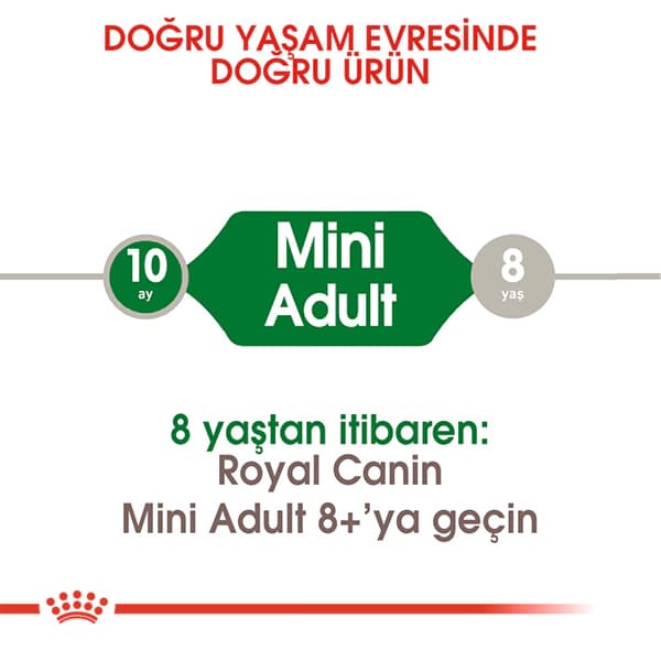 Royal Canin Mini Küçük Irk Yetişkin Köpek Maması 8 kg