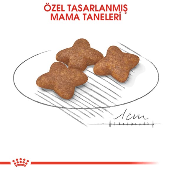 Royal Canin Mini Küçük Irk Yetişkin Köpek Maması 4 kg