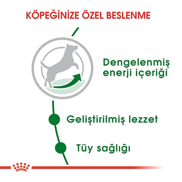 Royal Canin Mini Küçük Irk Yetişkin Köpek Maması 4 kg