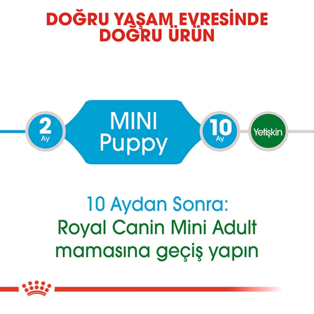Royal Canin Mini Junior Küçük Irk Yavru Köpek Maması 4kg