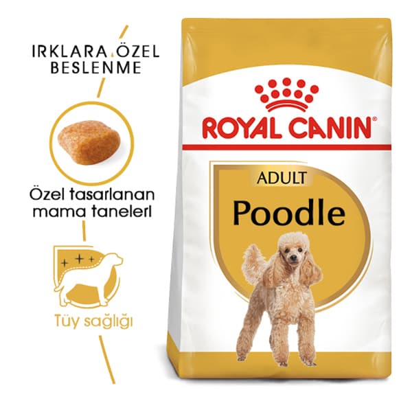 Royal Canin Poodle Yetişkin Köpek Maması 3 kg