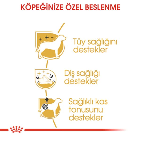 Royal Canin Poodle Yetişkin Köpek Maması 3 kg