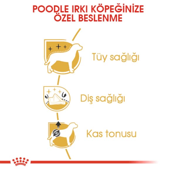 Royal Canin Poodle Yetişkin Köpek Maması 3 kg
