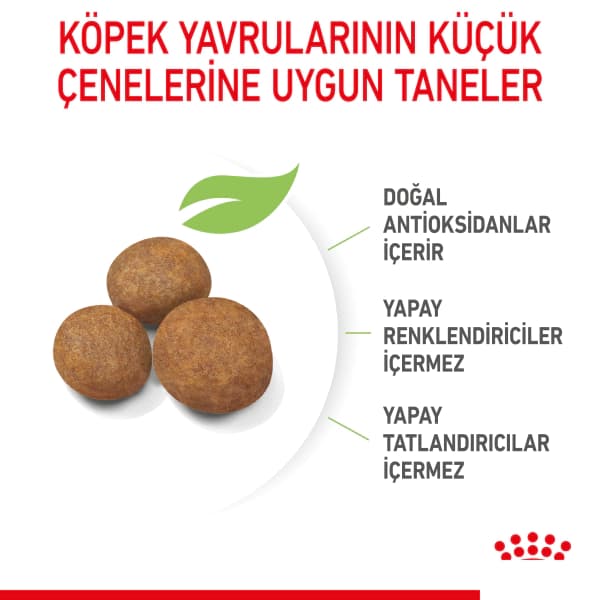 Royal Canin Maxi Puppy Büyük Irk Yavru Köpek Maması 15 kg