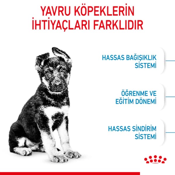 Royal Canin Maxi Puppy Büyük Irk Yavru Köpek Maması 15 kg