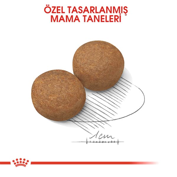 Royal Canin Maxi Büyük Irk Yetişkin Köpek Maması 15 kg