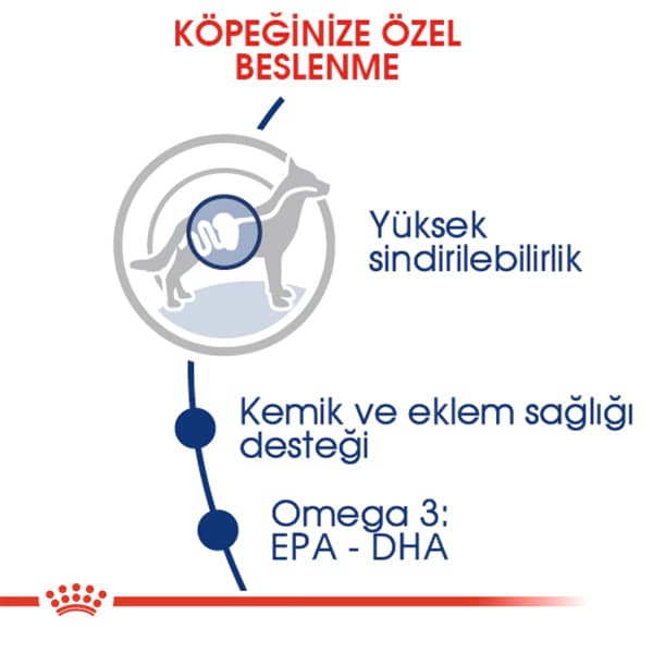 Royal Canin Maxi Büyük Irk Yetişkin Köpek Maması 15 kg