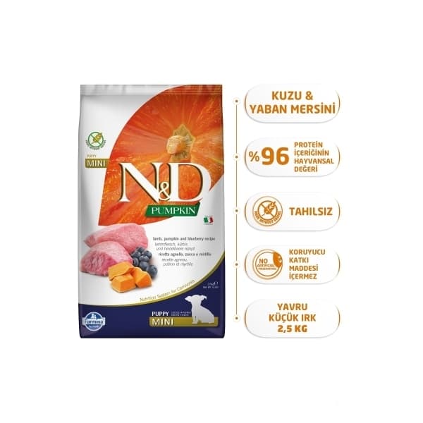 N&D Pumpkin Bal Kabaklı Kuzulu ve Yaban Mersinli Küçük Irk Tahılsız Yavru Köpek Maması 2,5 kg