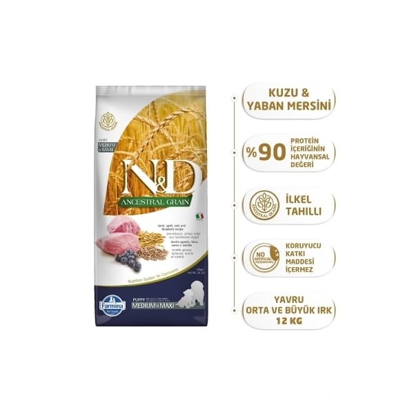N&D Ancestral Grain Kuzu Etli Yaban Mersinli Orta ve Büyük Irk Ata Tahıllı Yavru Köpek Maması 12 kg