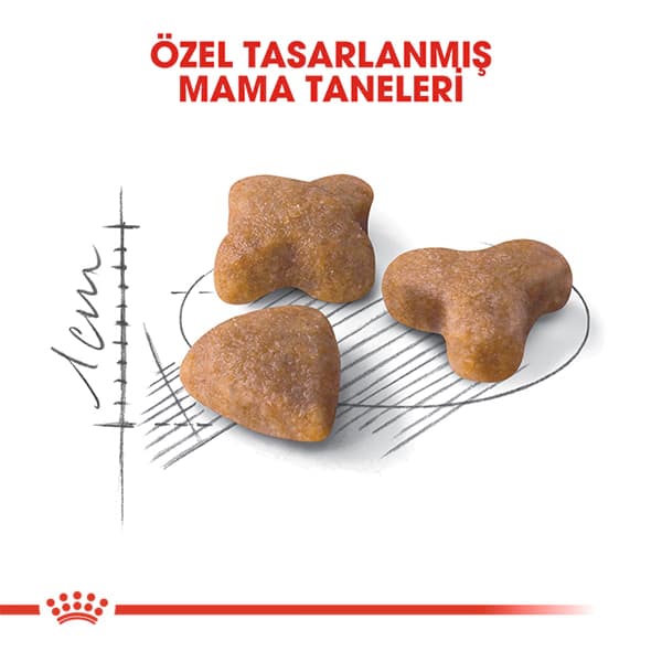 Royal Canin Sensible 33 Hassas Sindirim Sistemli Kediler İçin Yetişkin Kedi Maması 10 kg