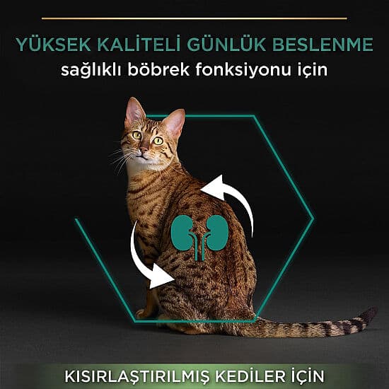 Pro Plan Kısırlaştırılmış Tavşanlı Kedi Maması 10 Kg