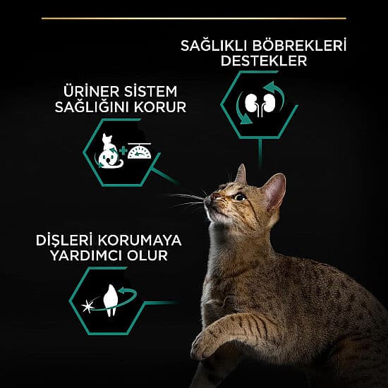 Pro Plan Kısırlaştırılmış Tavşanlı Kedi Maması 10 Kg