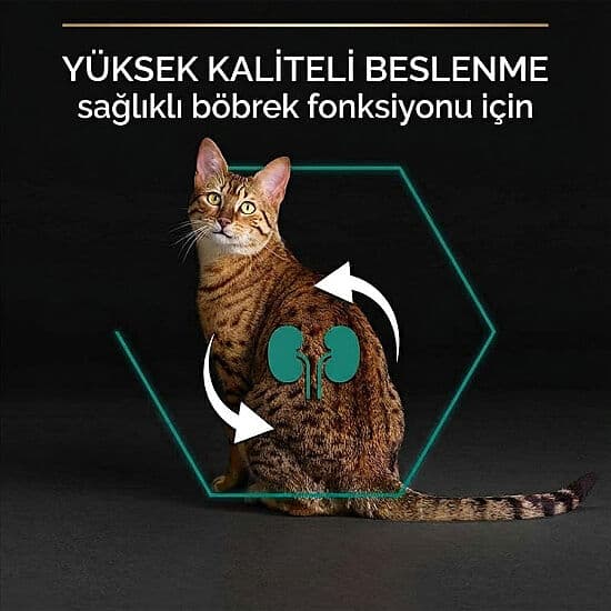 Pro Plan Kısırlaştırılmış Hindi Etli Kedi Maması 10 + 2 Kg (Toplam 12 Kg)