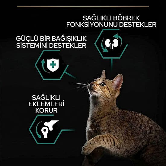 Pro Plan Kısırlaştırılmış Hindi Etli Kedi Maması 10 + 2 Kg (Toplam 12 Kg)