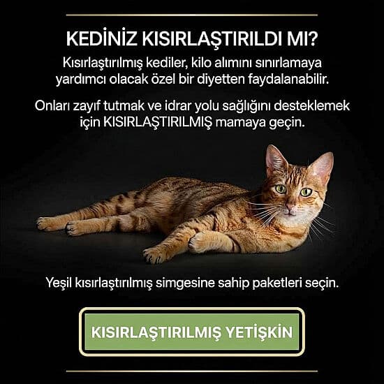 Pro Plan 7+ Kısırlaştırılmış Hindili Kedi Maması 3 Kg