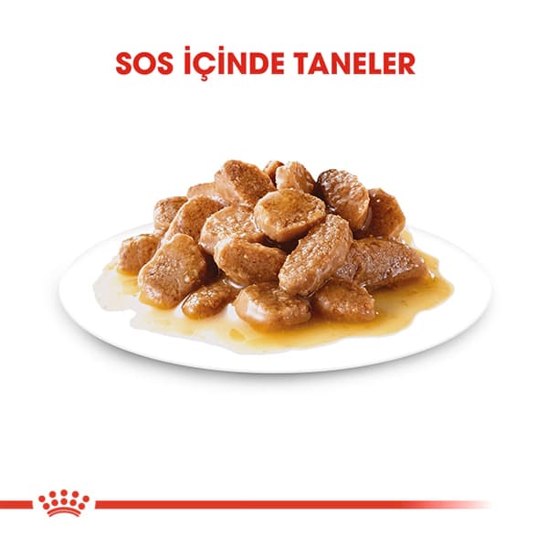 Royal Canin Küçük Irk Yetişkin Köpek Konservesi 85 gr