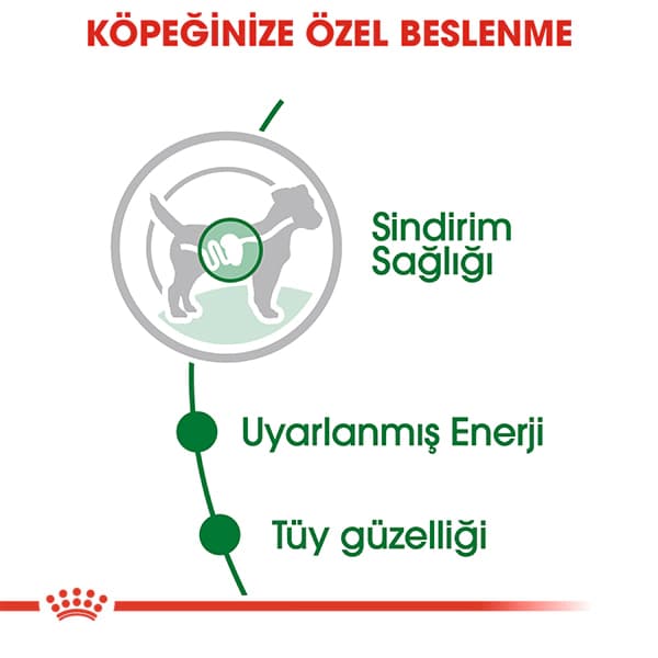 Royal Canin Küçük Irk Yetişkin Köpek Konservesi 85 gr
