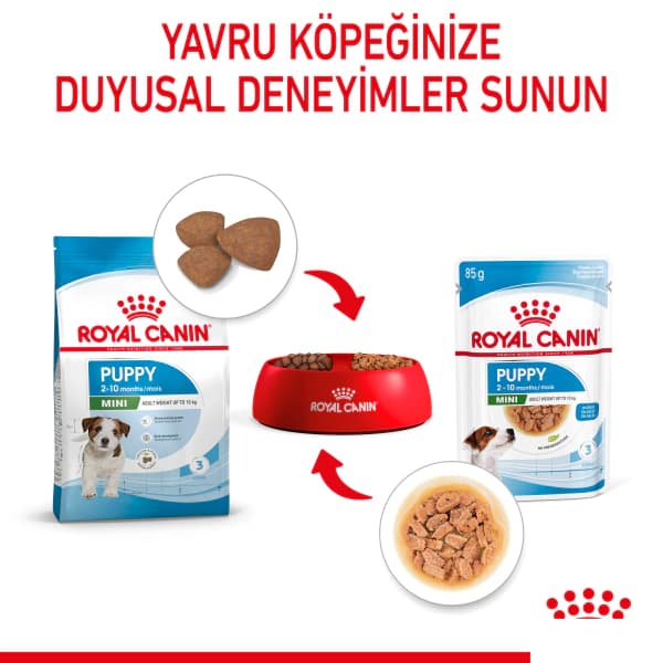 Royal Canin Küçük Irk Yavru Köpek Konservesi 85 gr