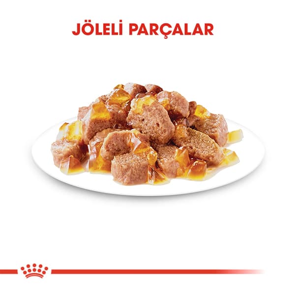 Royal Canin Jöle İçinde Kısırlaştırılmış Yetişkin Kedi Konservesi 85 gr