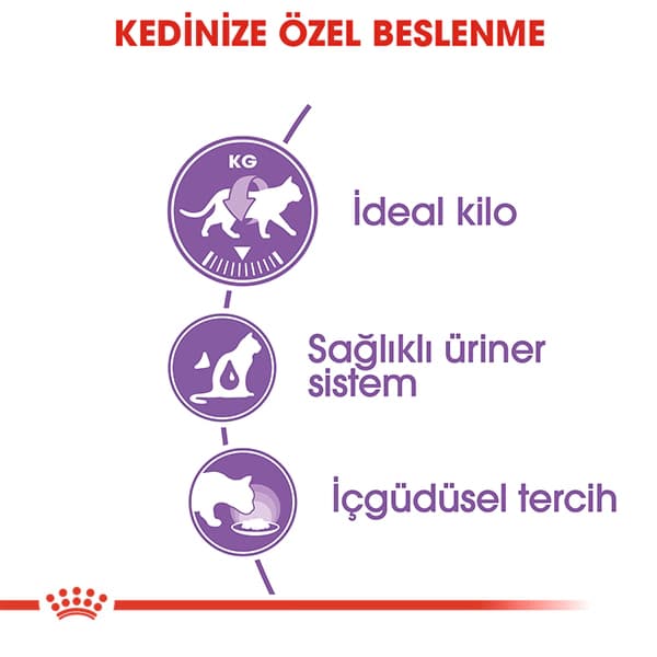 Royal Canin Jöle İçinde Kısırlaştırılmış Yetişkin Kedi Konservesi 85 gr