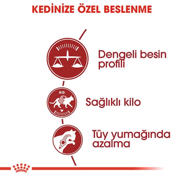 Royal Canin Fit 32 Yetişkin Kedi Maması 4 kg