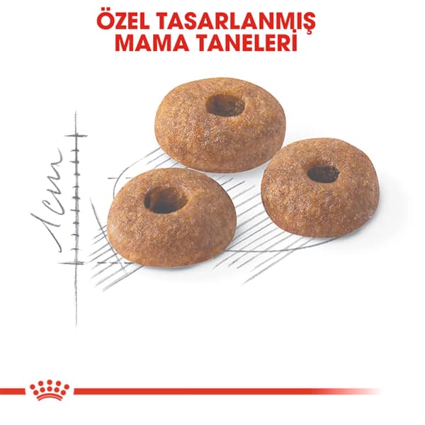 Royal Canin Fit 32 Yetişkin Kedi Maması 4 kg